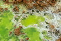 DSC09530R.jpg