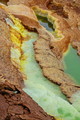 DSC09543R.jpg