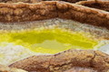 DSC09545R.jpg
