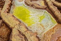 DSC09551R.jpg