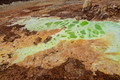 DSC09554R.jpg