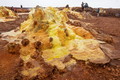 DSC09598R.jpg