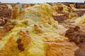 DSC09604R.jpg