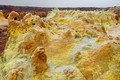 DSC09607R.jpg