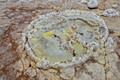 DSC09842R.jpg