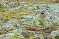 DSC09849R.jpg