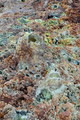 DSC09852R.jpg