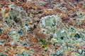 DSC09853R.jpg