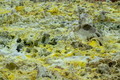 DSC09856R.jpg