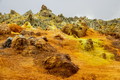 DSC09862R.jpg