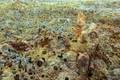 DSC09863R.jpg