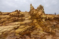 DSC09872R.jpg