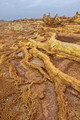 DSC09876R.jpg