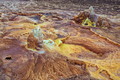 DSC09886R.jpg