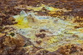 DSC09905R.jpg