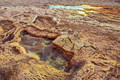 DSC09908R.jpg