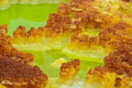 DSC09931R.jpg