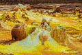 DSC09946R.jpg