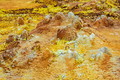 DSC09947R.jpg
