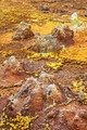 DSC09948R.jpg