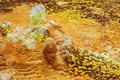 DSC09949R.jpg