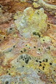 DSC09952R.jpg