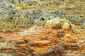 DSC09953R.jpg