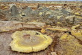 DSC09954R.jpg