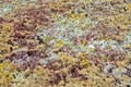 DSC09958R.jpg