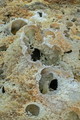 DSC09967R.jpg