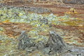 DSC09968R.jpg