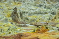 DSC09984R.jpg