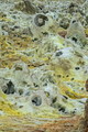 DSC09986R.jpg