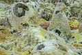 DSC09988R.jpg