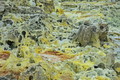 DSC09993R.jpg