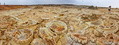 Filename=dallol_pano12r.jpg
Filesize=698KiB
Dimensions=1700x644
Date added=Mar 03, 2020 dallol_pano12r.jpg