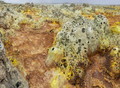Filename=dallol_pano31R.jpg
Filesize=442KiB
Dimensions=951x700
Date added=Mar 03, 2020 dallol_pano31R.jpg