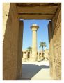 Filename=louxor_karnak5.JPG
Filesize=66KiB
Dimensions=368x480
Date added=Jan 16, 2006 louxor_karnak5.JPG