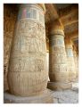 Filename=louxor_medinet_habou2.JPG
Filesize=81KiB
Dimensions=368x480
Date added=Jan 16, 2006 louxor_medinet_habou2.JPG