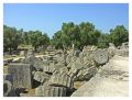 Filename=olympie.JPG
Filesize=153KiB
Dimensions=630x480
Date added=Feb 04, 2006 olympie.JPG