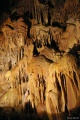 Filename=DSC00447.JPG
Filesize=264KiB
Dimensions=512x768
Date added=Sep 20, 2011 DSC00447.JPG