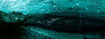 Filename=islande_202108_ice_cave_pano3.jpg
Filesize=444KiB
Dimensions=1700x632
Date added=Aug 21, 2022 islande_202108_ice_cave_pano3.jpg