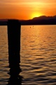 Filename=ITALIE2015_00977_dehazed.jpg
Filesize=91KiB
Dimensions=512x768
Date added=May 29, 2015 ITALIE2015_00977_dehazed.jpg