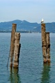 Filename=ITALIE2015_00988_dehazed.jpg
Filesize=115KiB
Dimensions=512x768
Date added=May 29, 2015 ITALIE2015_00988_dehazed.jpg