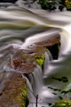 Filename=DSC08550_dehazed.jpg
Filesize=135KiB
Dimensions=512x768
Date added=Aug 17, 2014 DSC08550_dehazed.jpg