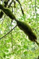Filename=DSC08554_dehazed.jpg
Filesize=324KiB
Dimensions=512x768
Date added=Aug 17, 2014 DSC08554_dehazed.jpg