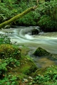 Filename=DSC08590_dehazed.jpg
Filesize=268KiB
Dimensions=512x768
Date added=Aug 17, 2014 DSC08590_dehazed.jpg