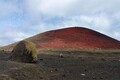 DSC00557R.jpg