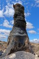 DSC00643R.jpg
