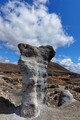 DSC00652R.jpg